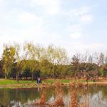 久违的春天图片 自然风光 风景图片