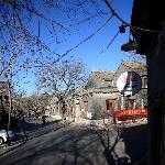 北京行－树杈和光影（中）图片 自然风光 风景图片