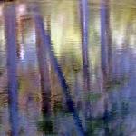 菲林的颜色--Landscape：Water Series图片 自然风光 风景图片