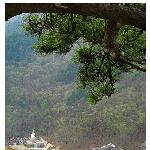 千山灵岩寺春色图片 自然风光 风景图片