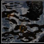 水纹 - 系列二图片 自然风光 风景图片