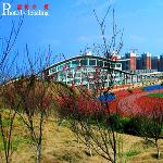 湖南理工大学操场图片 自然风光 风景图片