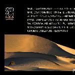 【塔克拉玛干沙漠-胡杨】图片 自然风光 风景图片