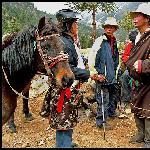 藏民风采图片 自然风光 风景图片