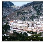 雪林图片 自然风光 风景图片