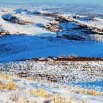 新疆冬季江不拉克图片 自然风光 风景图片
