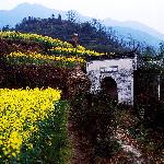 婺源之旅 IV图片 自然风光 风景图片