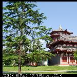 大唐芙蓉园之绿意图片 自然风光 风景图片