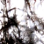 水墨草棚图片 自然风光 风景图片