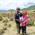 云南小中甸花海图片 自然风光 风景图片