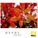 秋天的约定（二）图片 自然风光 风景图片