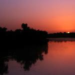 塔里木河------日出图片 自然风光 风景图片