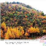 《彩色的秋》图片 自然风光 风景图片