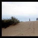 沙洲不冷图片 自然风光 风景图片