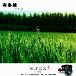 甲壳虫历险记图片 自然风光 风景图片