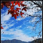徽州印象-宏村南湖图片 自然风光 风景图片