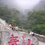 雄伟的泰山图片 自然风光 风景图片