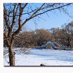 雪季太阳岛图片 自然风光 风景图片