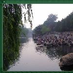 清凉避暑好地方——济南黑虎泉图片 自然风光 风景图片