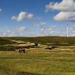 内蒙古辉腾格勒草原图片 自然风光 风景图片