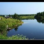 坝上  七星湖湿地公园图片 自然风光 风景图片
