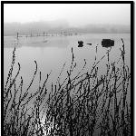 雾锁龙湖图片 自然风光 风景图片
