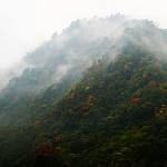 层林尽染-东拉山红叶图片 自然风光 风景图片