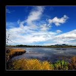 金秋呼伦贝尔之秋染杜鹃湖图片 自然风光 风景图片