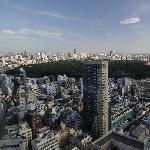 东京之绿洲图片 自然风光 风景图片