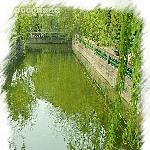 享受夏日清凉图片 自然风光 风景图片