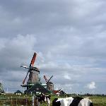 [小D在欧洲一]——一个人的荷兰图片 自然风光 风景图片