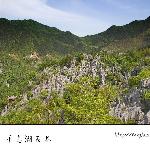 千岛湖石林图片 自然风光 风景图片