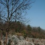 奥陶纪石林图片 自然风光 风景图片
