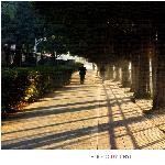 【我的城 ●  深圳】 晨光里的中心公园图片 自然风光 风景图片