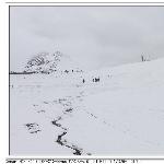 雪山上的来客。。。图片 自然风光 风景图片