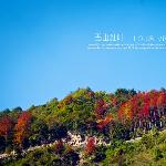 巴山红叶之篇图片 自然风光 风景图片