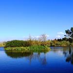 昆明五甲湿地、海埂公园共九幅图片 自然风光 风景图片
