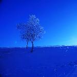 雪域坝上四——纯美色图片 自然风光 风景图片