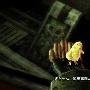 《最终幻想XIII》试玩版百张截图 #3