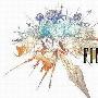 路透社称《最终幻想14》正在寻找中国伙伴