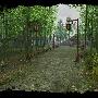 烟雨凄迷江南情《龙》姑苏清秀图鉴