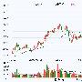 一季报显示QFII和基金大举入驻恒宝股份