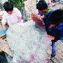 浙江渔民捕获罕见翻车鱼 长1.51宽1.75米(图)