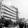 湖北通城电信局大楼铁塔倒塌(图)