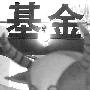 三大基金公司操作动向 华夏增持低估值板块