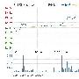 快讯：游资大举杀入 天目药业强势涨停