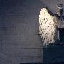 名杰论金：3.25周评加息入正轨“缩表”志在必行？金油下周如履薄冰！