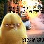 熊誉金：3.30原油空单被套怎么办原油空单如何解套走势分析操作建议