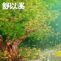 舒以溪：4.27带你了解金银（三十）