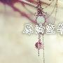 熊誉金：5.15原油剑指50大关？空单被套如何解套